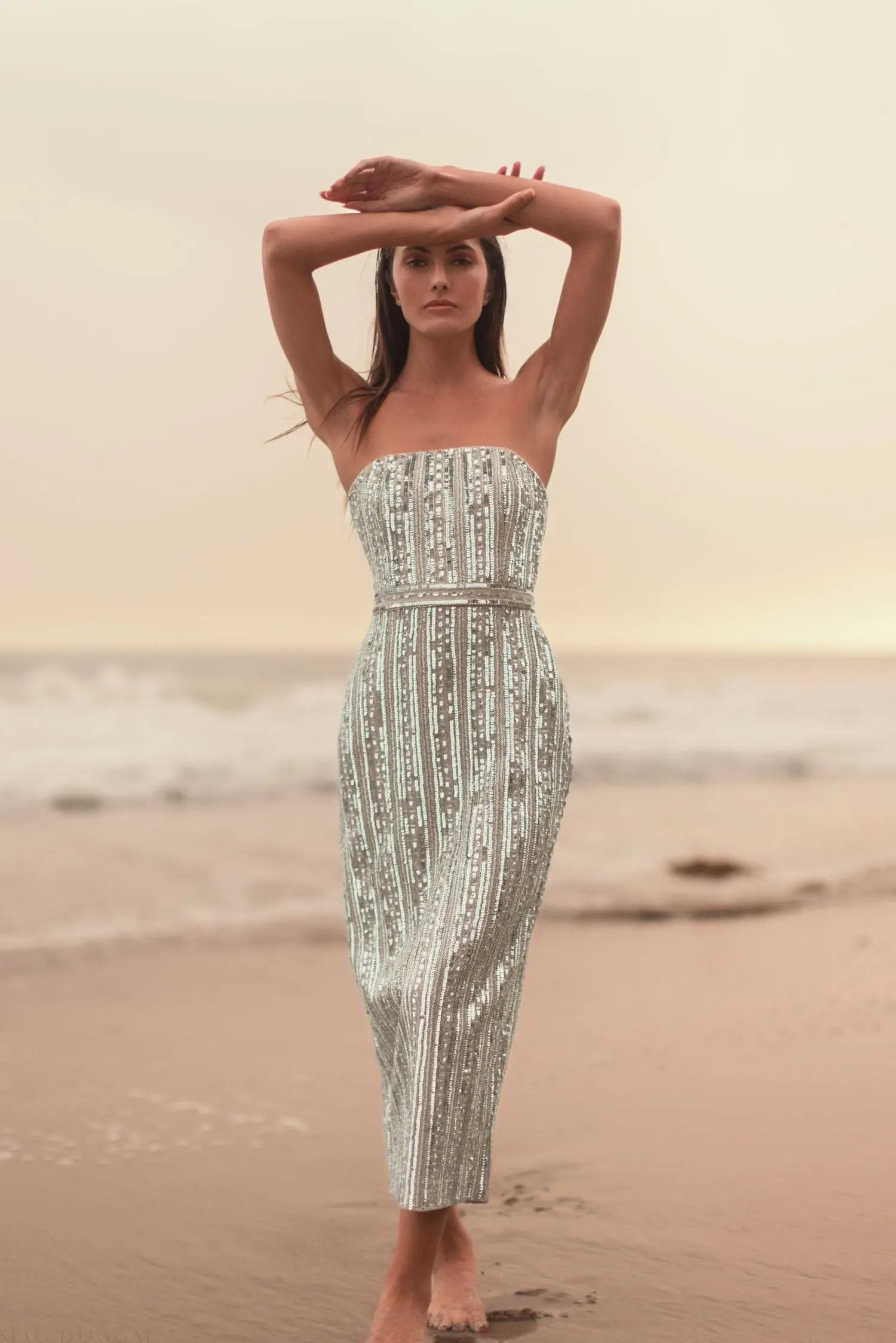 Silver and Beige Embellished Strapless Sheath Dress